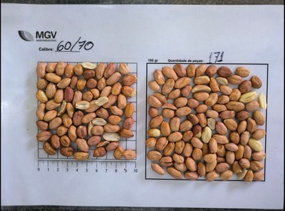 60/70 Raw Peanut