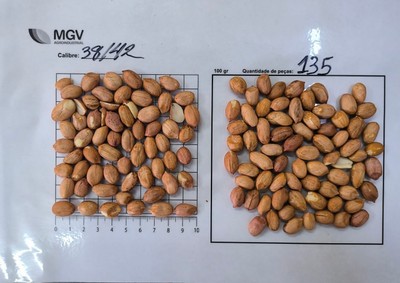 38/42 Raw Peanut