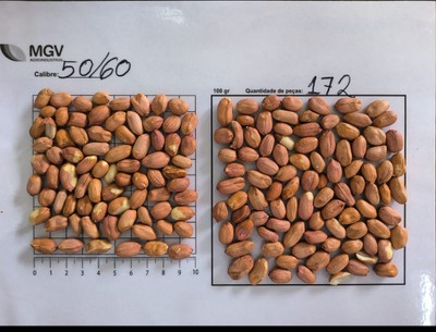 50/60 Raw Peanut