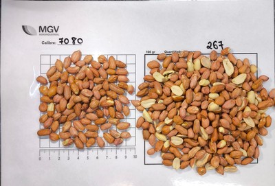 70/80 Raw Peanut