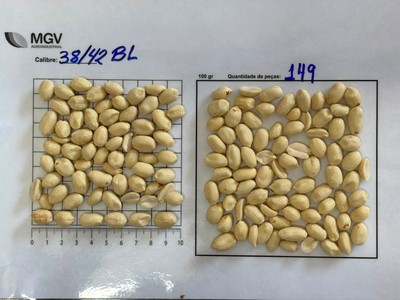 38/42 Blanched Peanut