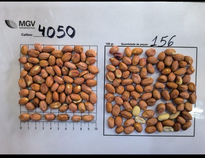 40/50 Raw Peanut